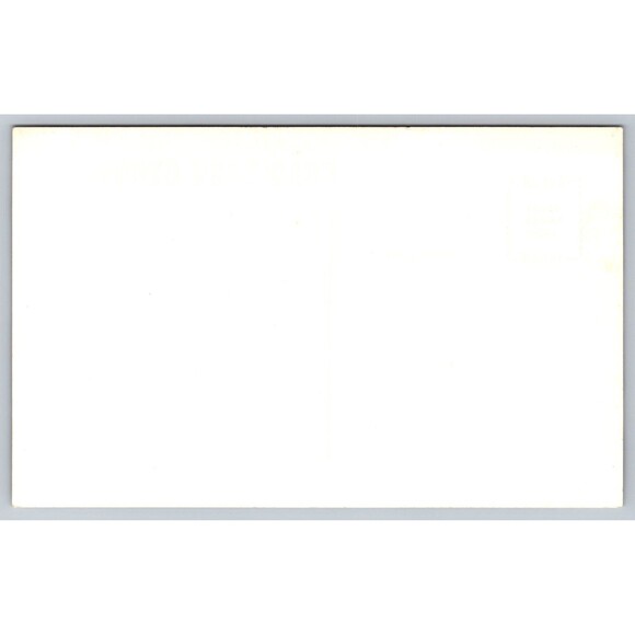 Postcard RPPC Deer Crawford Notch State Park Native N. H. Wildlife Exhibit c1950 - Picture 2 of 6